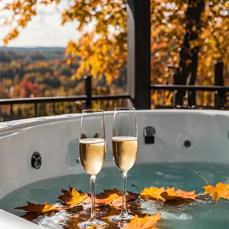 Villa Dream Z Sauna I Jacuzzi Lovely Krynica Zdroj Florynka