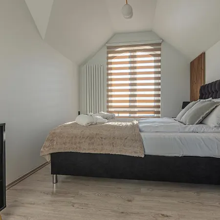 Dream Z Sauna I Jacuzzi Lovely Krynica Zdroj Villa *