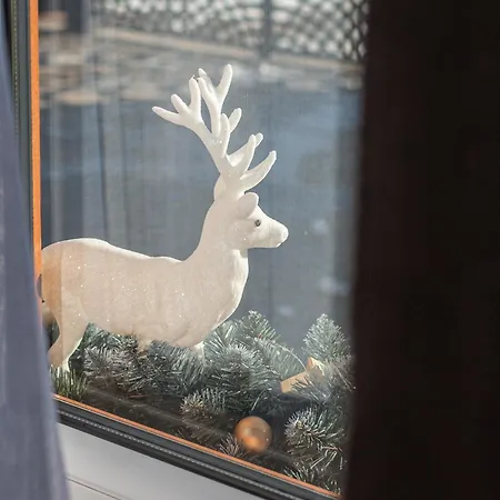 Dream Z Sauna I Jacuzzi Lovely Krynica Zdroj * Florynka