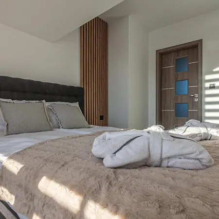 Dream Z Sauna I Jacuzzi Lovely Krynica Zdroj Villa Florynka